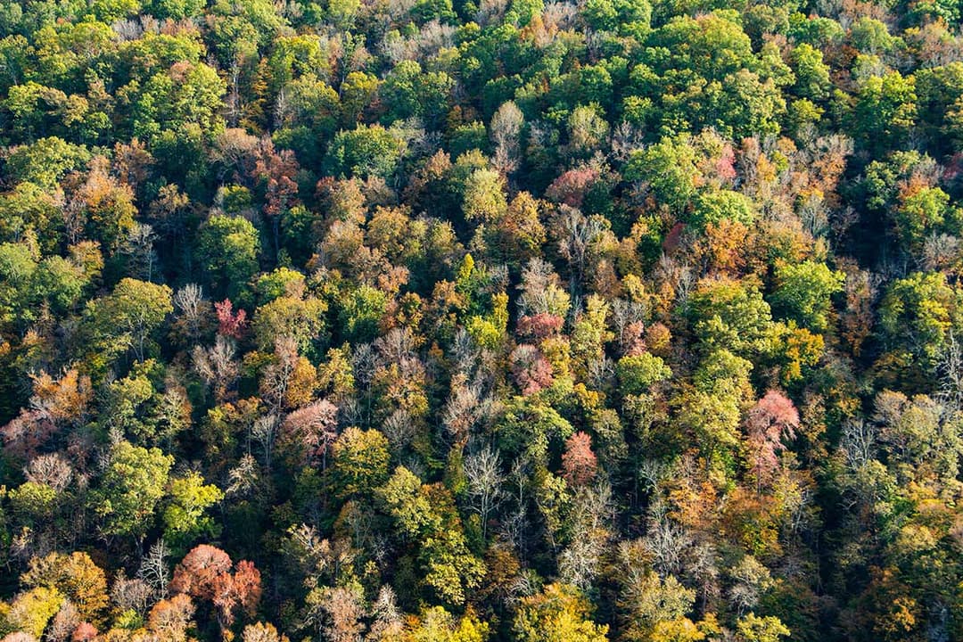 Dahlonega, United States